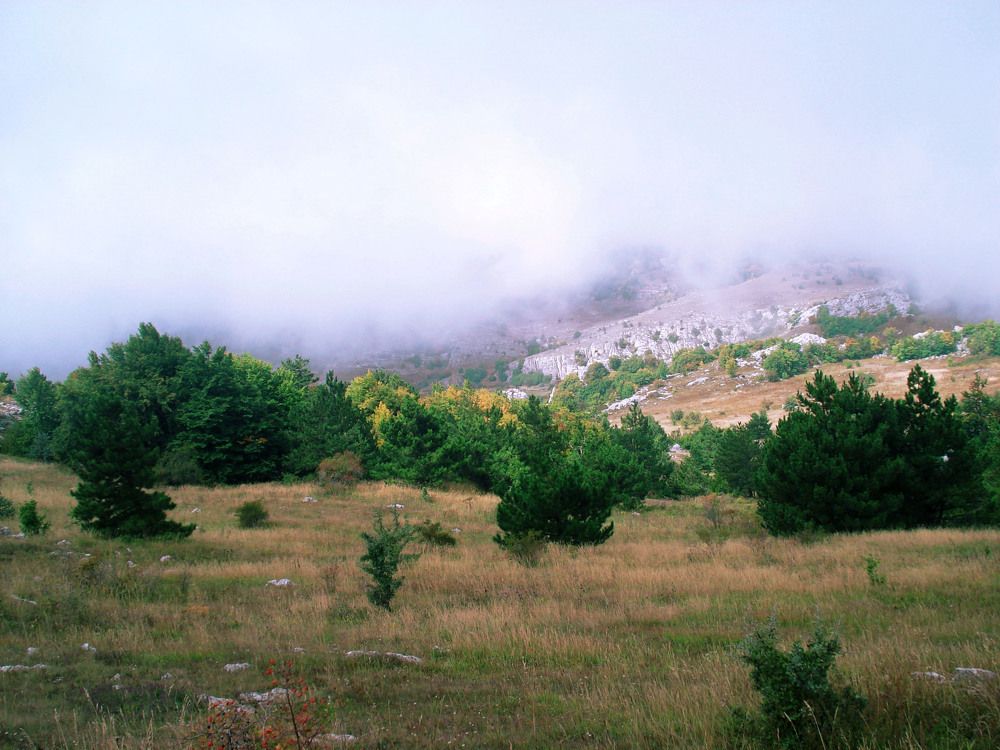 Photo #9180177