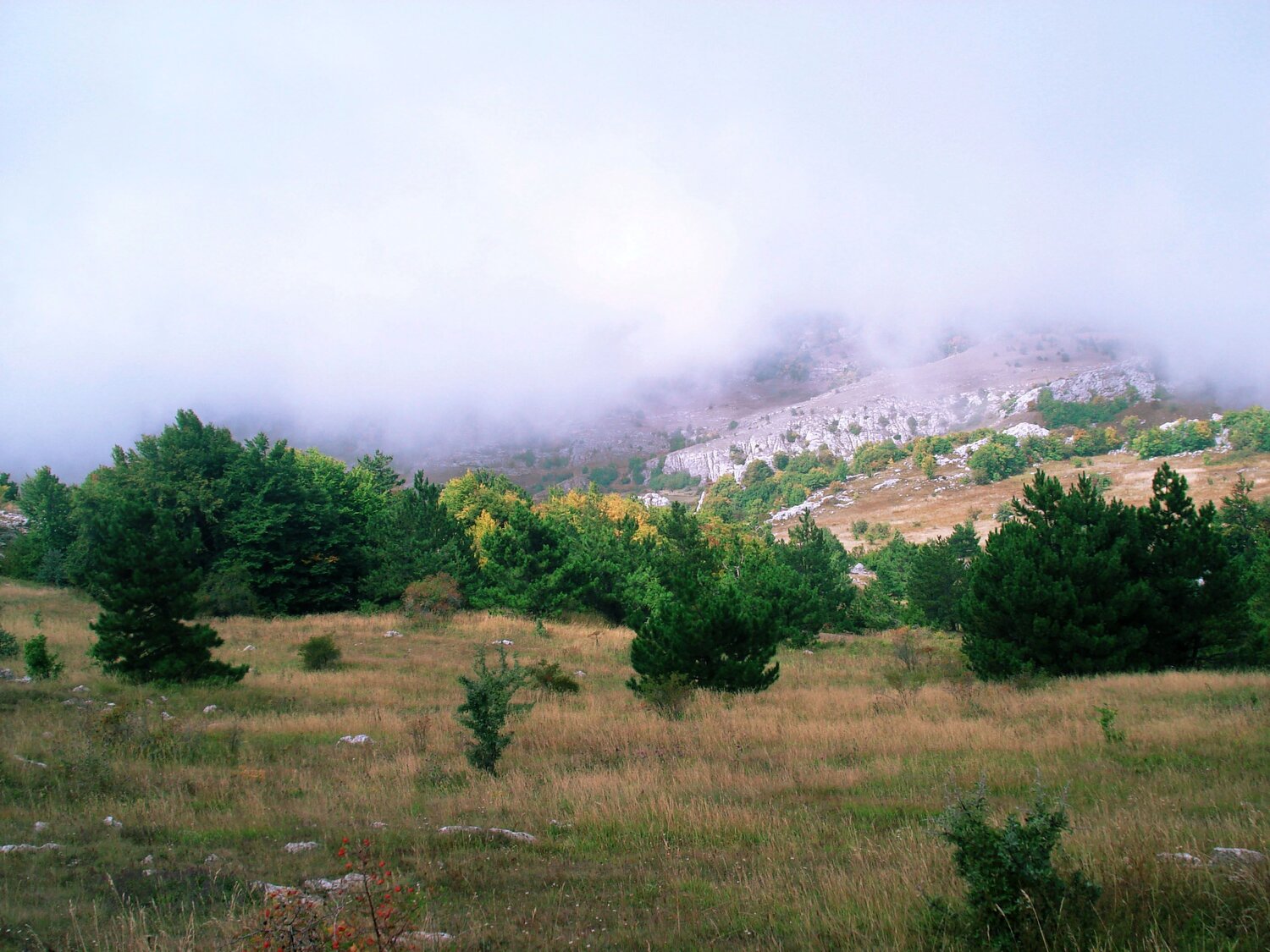 Photo #9180177