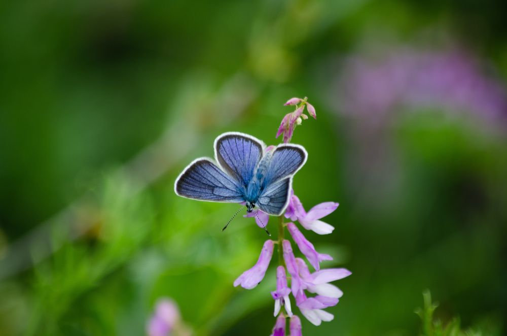 Photograph by Сергей Горбунов