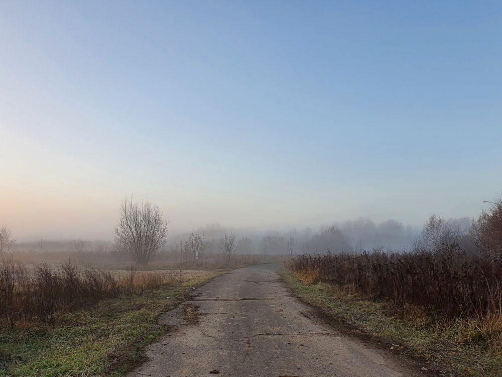 Photograph by Елена Харитонова