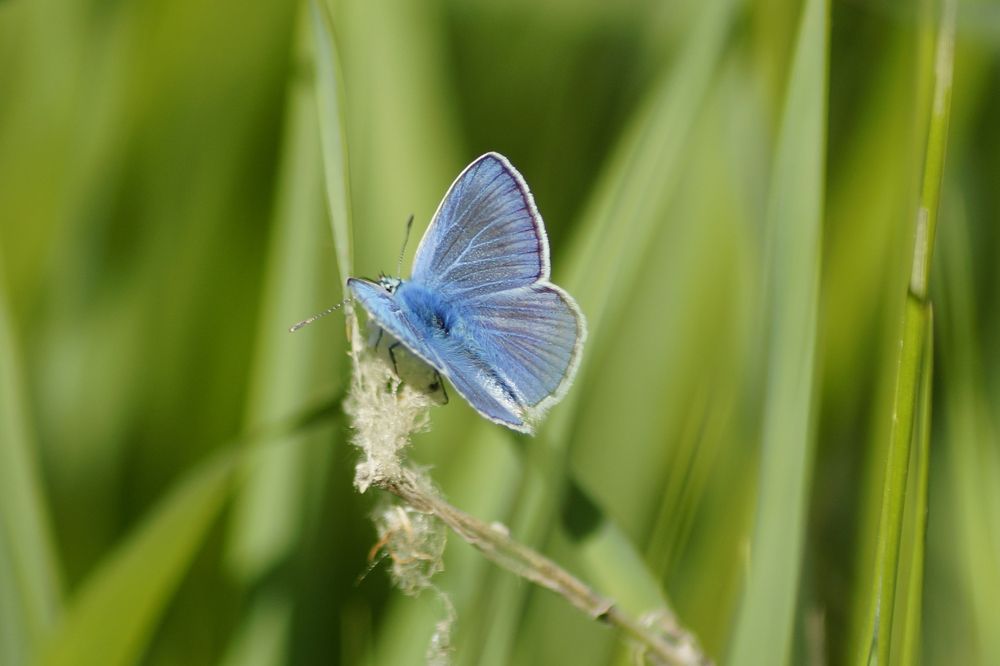 Photograph by Юля Хатыпова