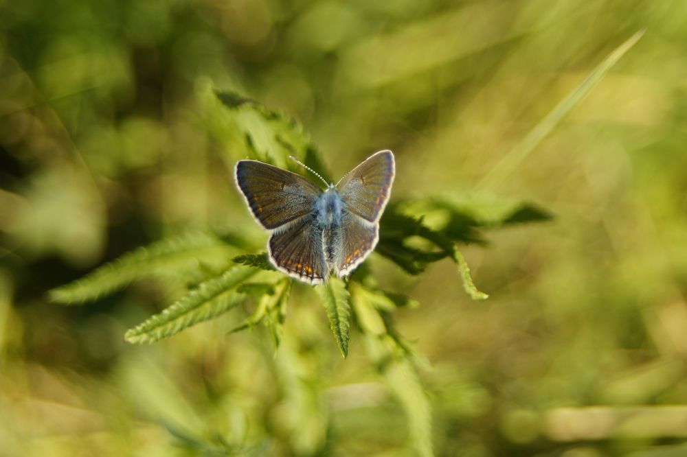Photograph by Юля Хатыпова