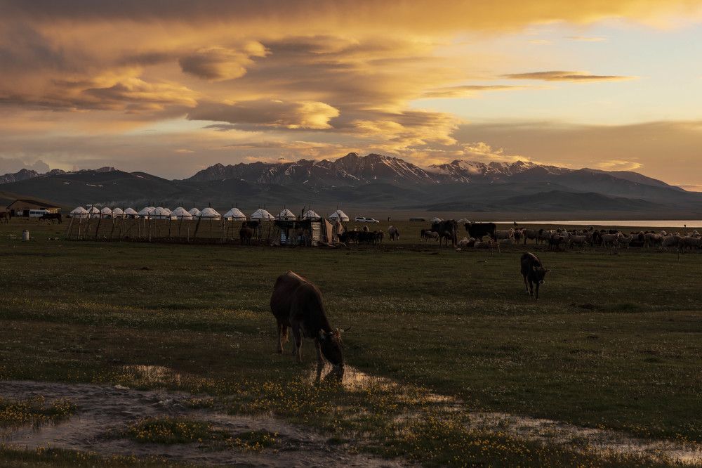 Photograph by klara Neikov