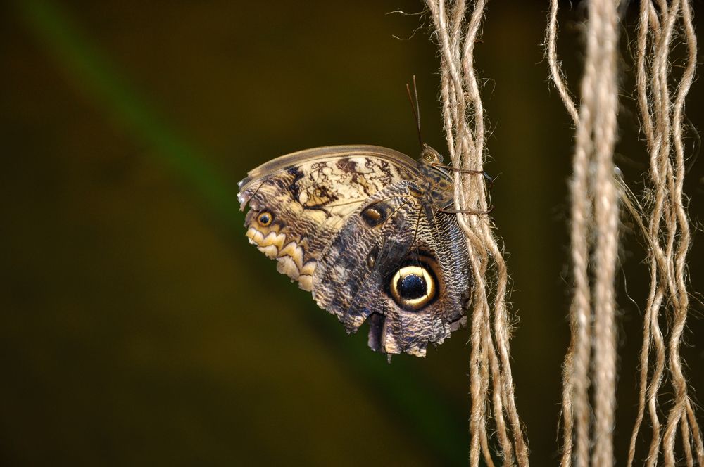 Photograph by Юлия Козельских