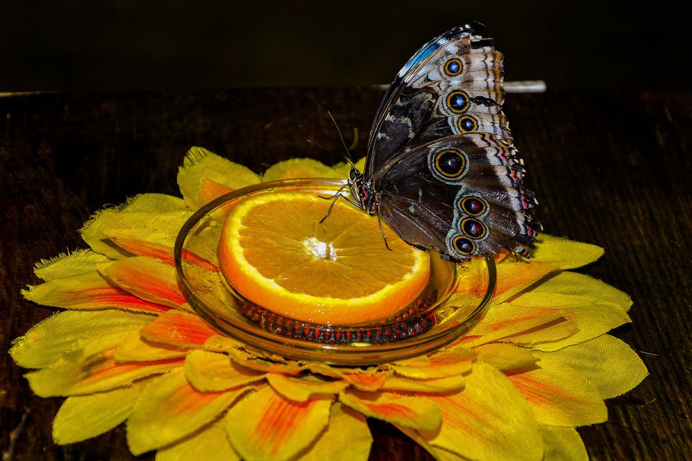 Photograph by Юлия Козельских