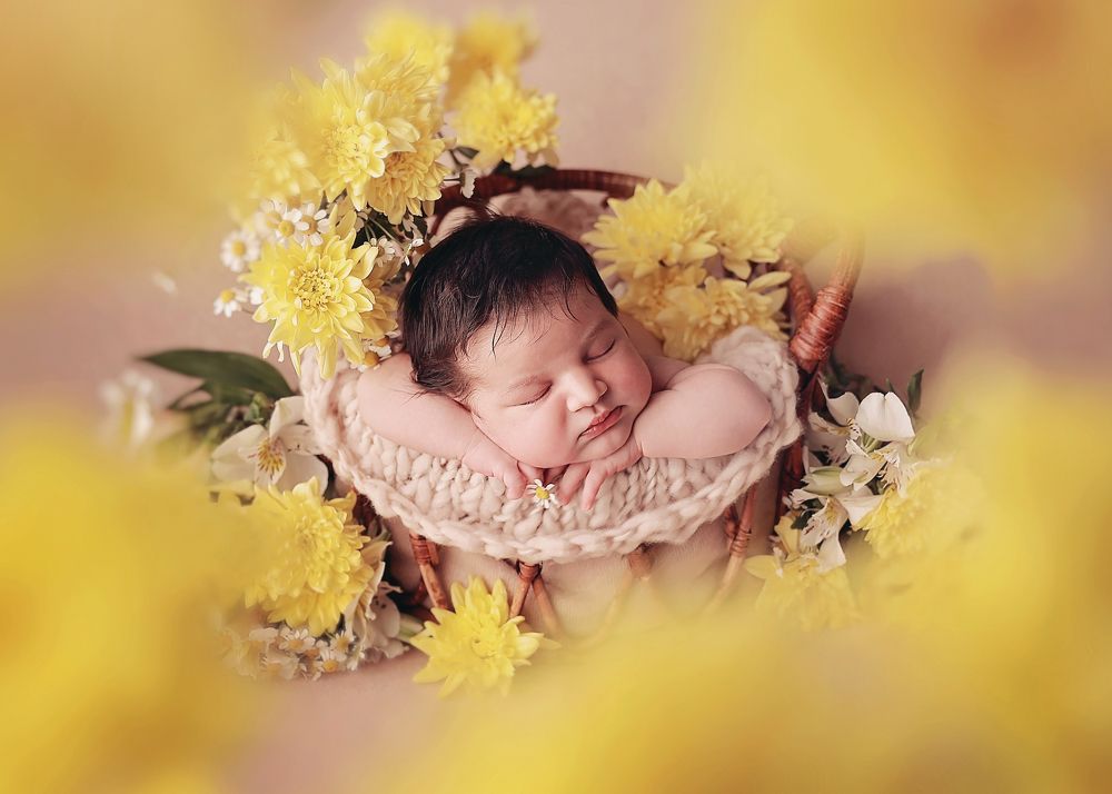 Photograph by Гаврильцова Светлана