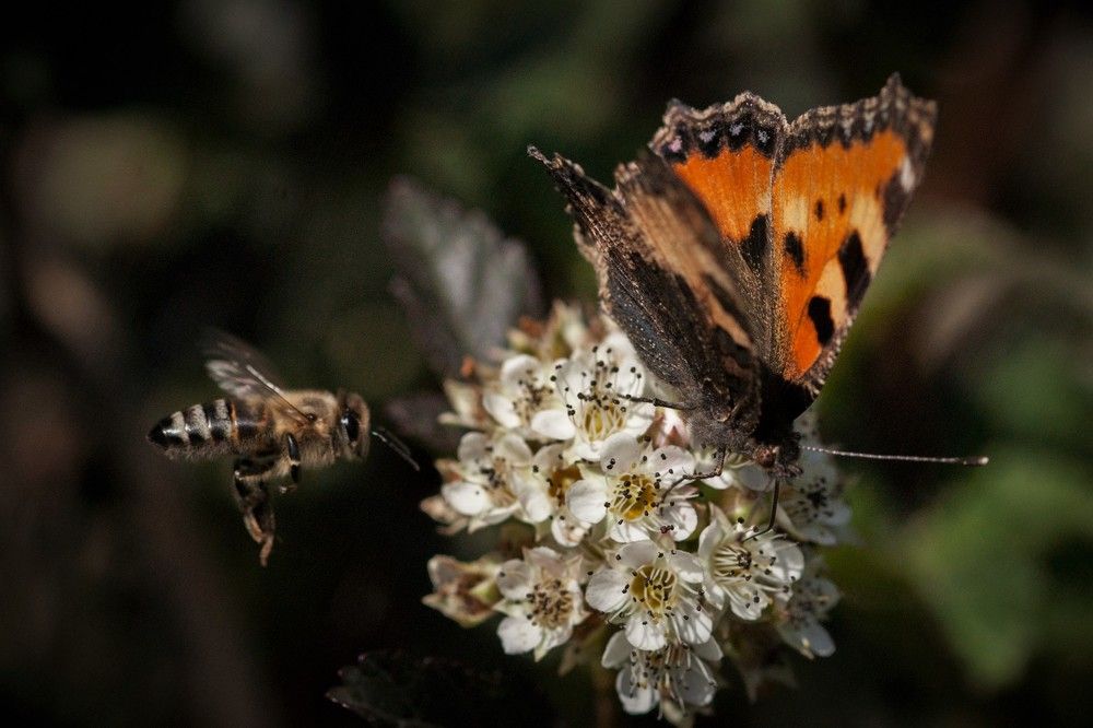 Фотография автора Юрий Кульмяков
