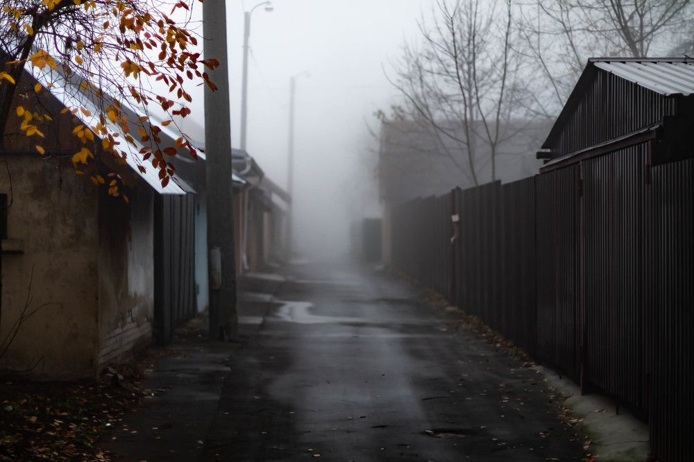 Photograph by Илья Романцев