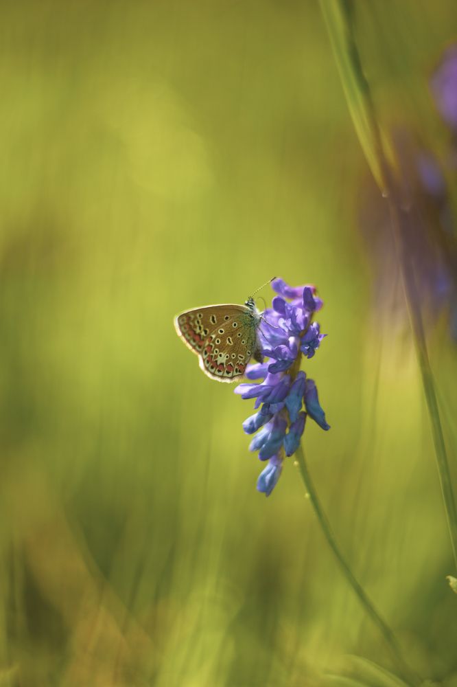 Photograph by Ольга Резникова