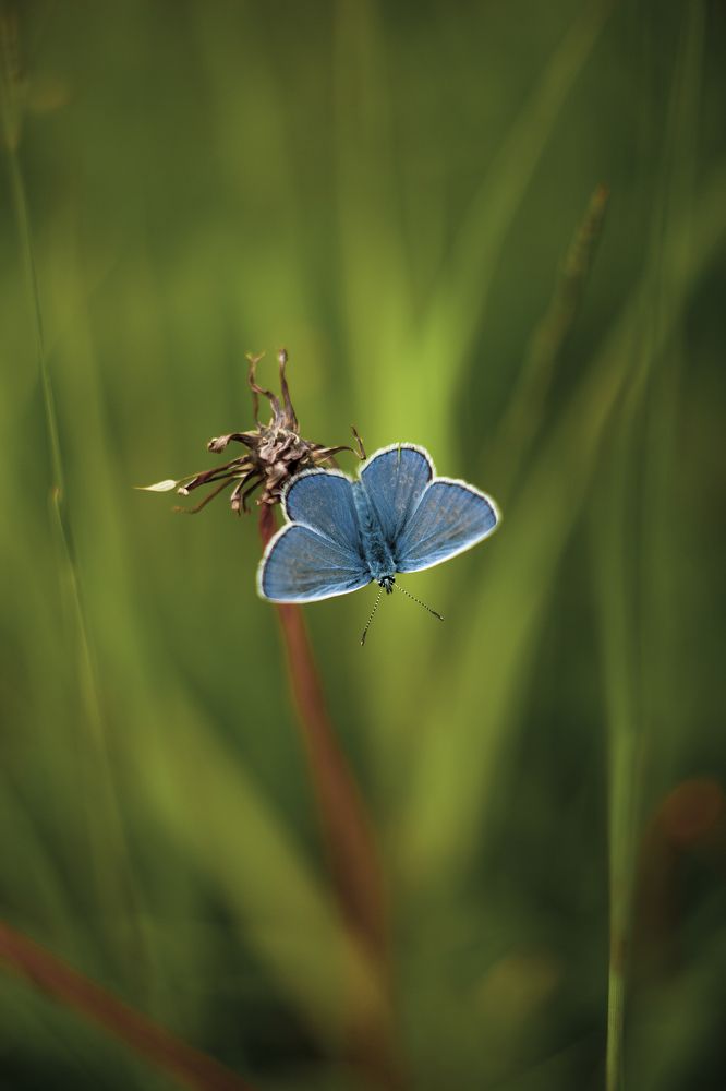 Photograph by Ольга Резникова