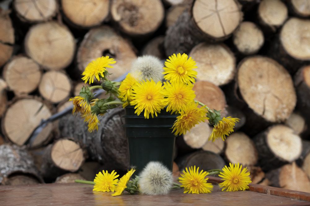 Photograph by Мария Кириллова