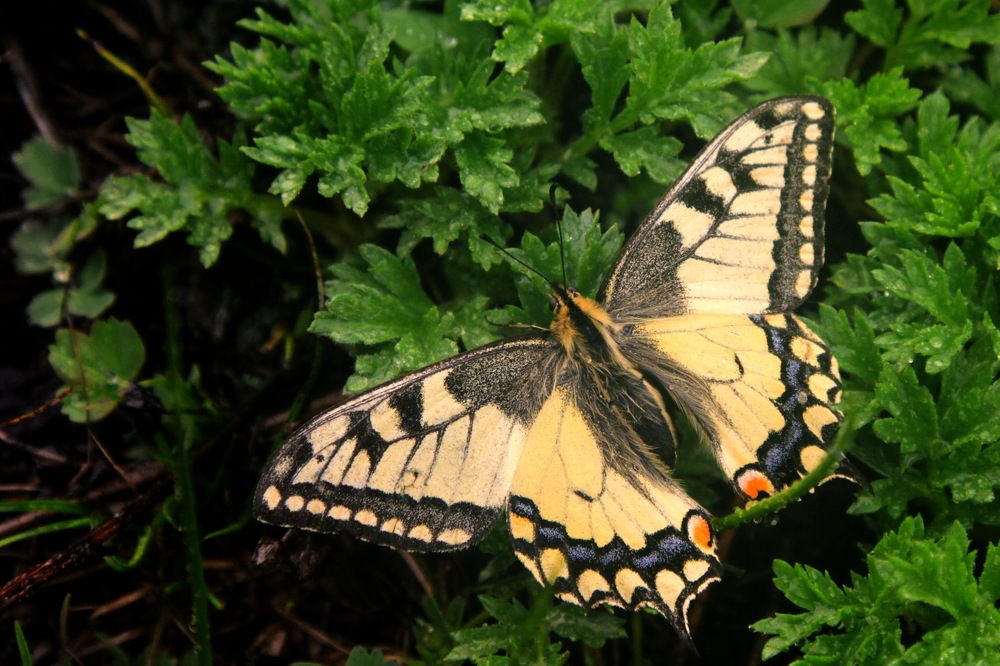 Photograph by Лада Денисова