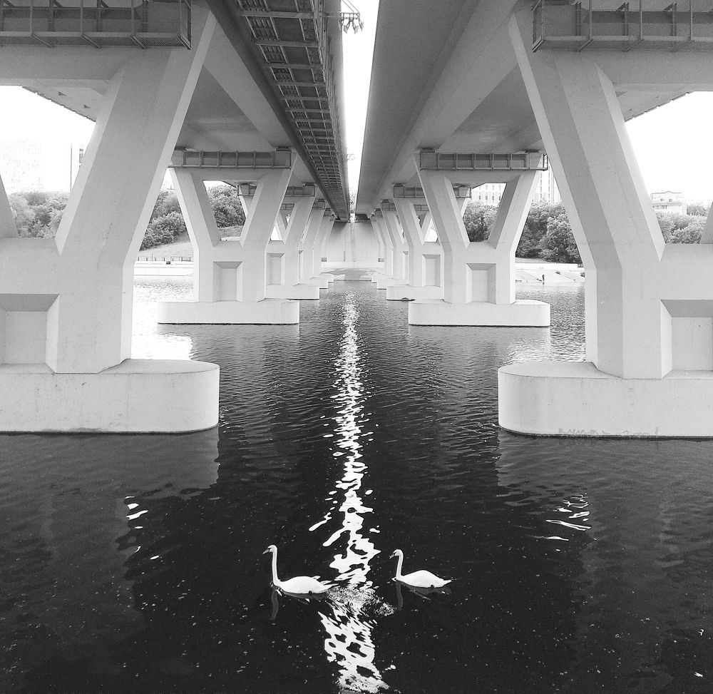 Photograph by Татьяна Кунц