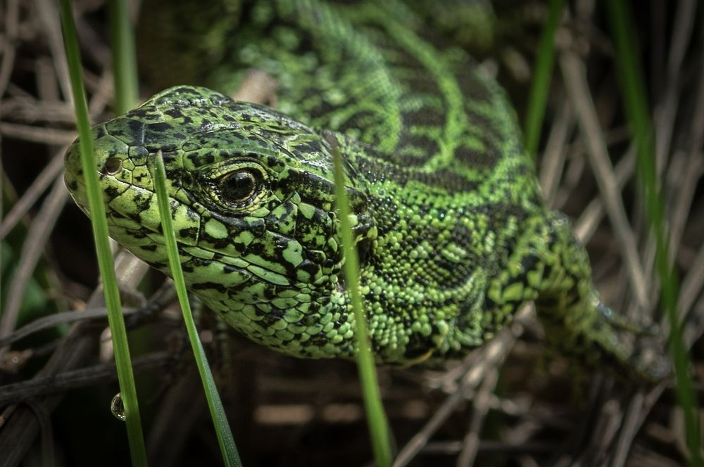 Photograph by Виктор Рыков