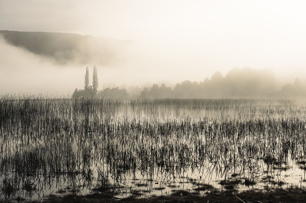 Photograph by Felix Carrega