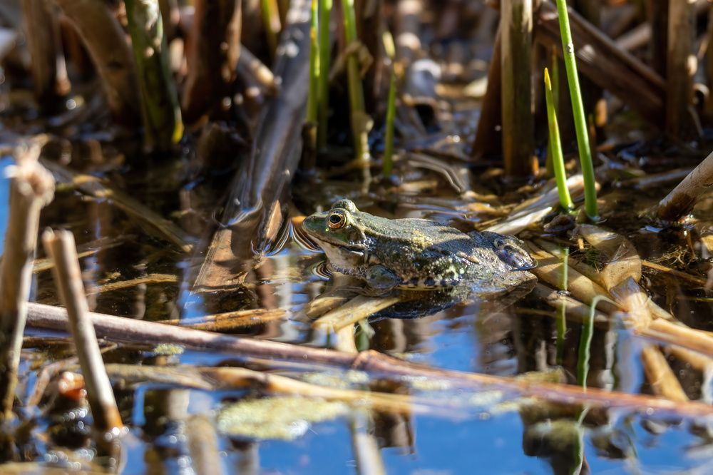 Photograph by Александр Свиблов