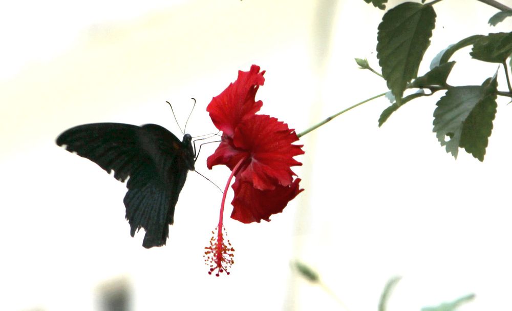 Photograph by Лада Денисова