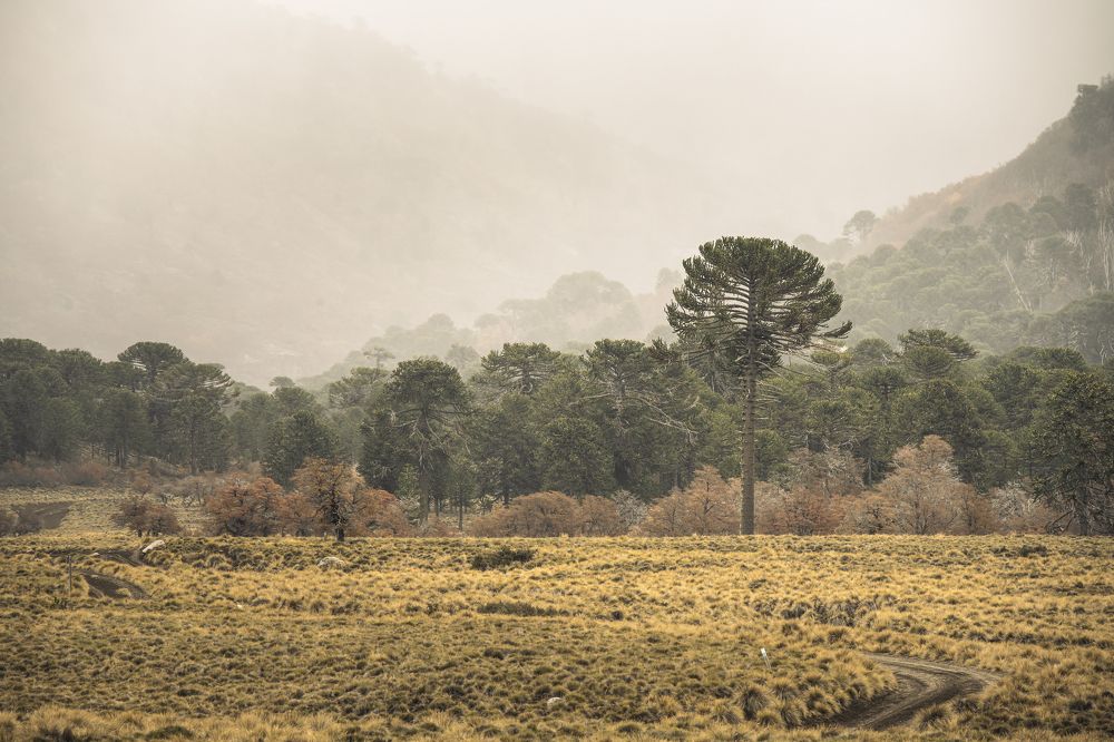 Photograph by Felix Carrega