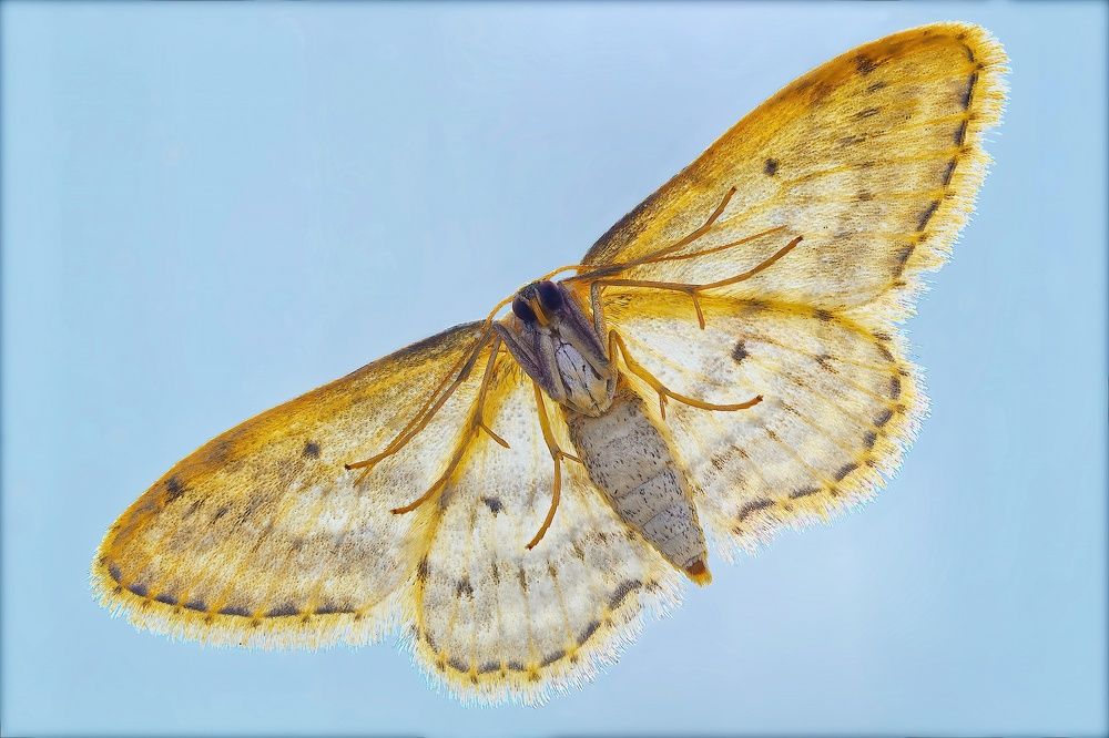 Фотография автора Ketov Vladimir