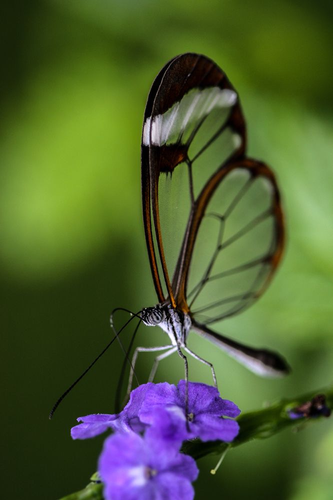 Photograph by Midge Engelbrecht