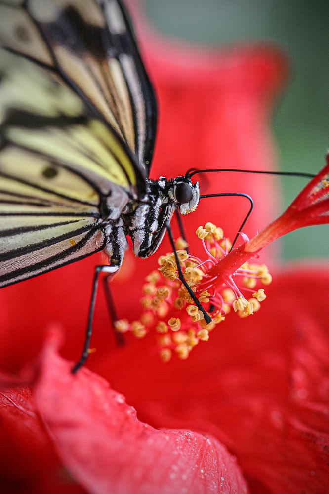 Photograph by Midge Engelbrecht