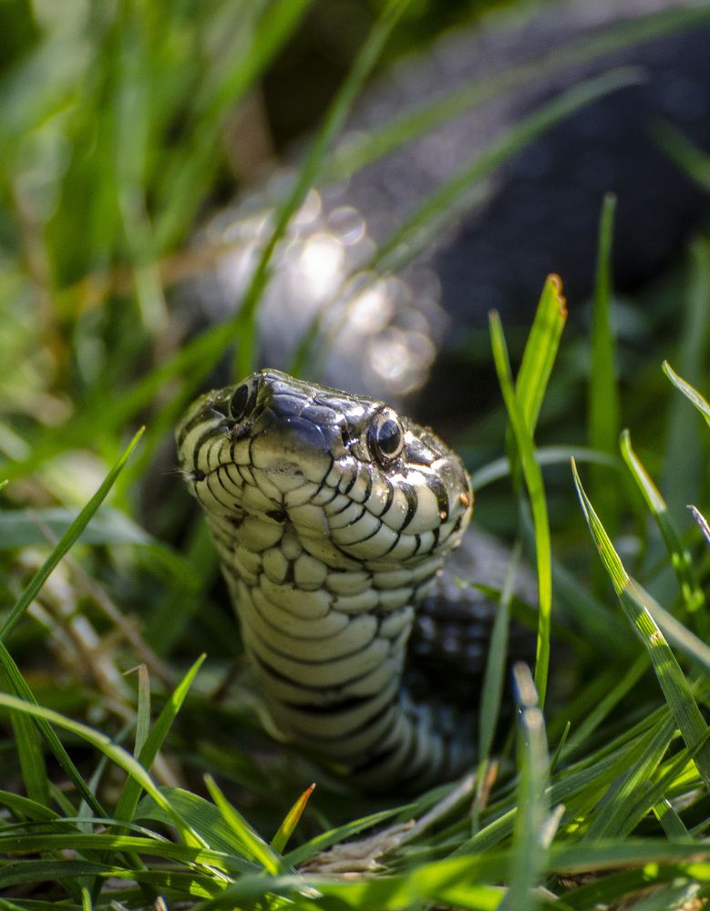 Photograph by Роман Кудрявцев