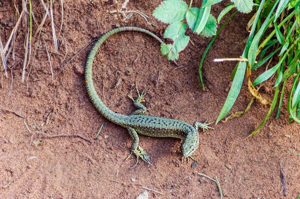 Photograph by Денис Кичев