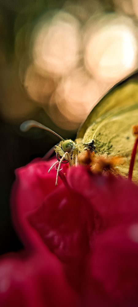 Photograph by Ankit Vishwakarma