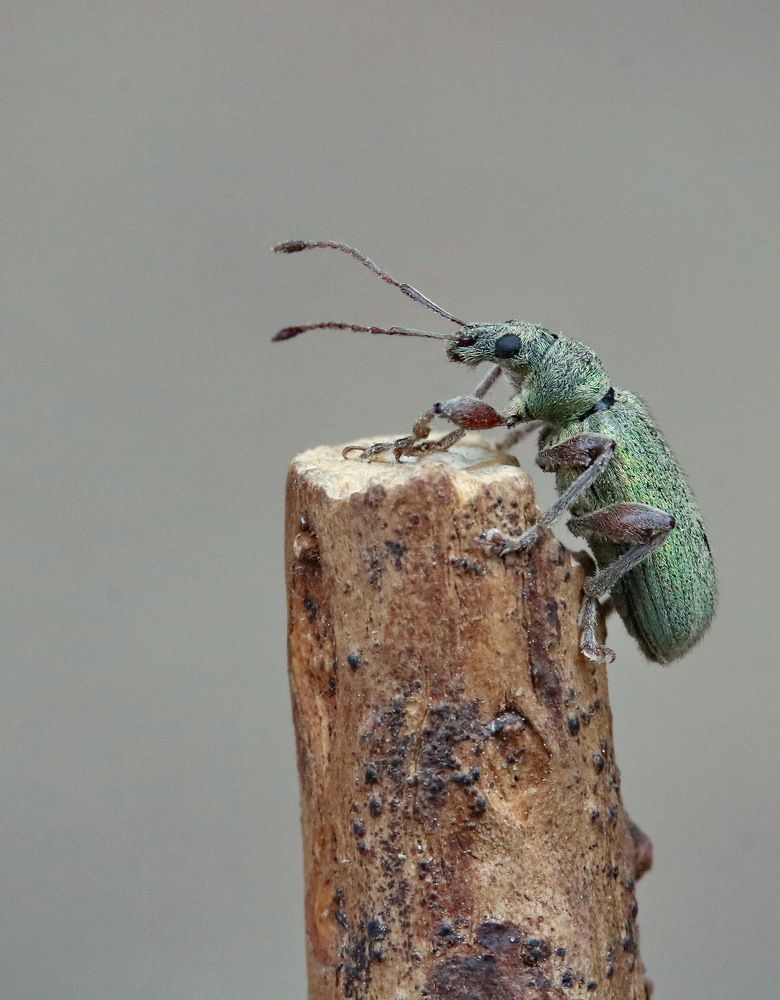 Photograph by Игорь Осипов