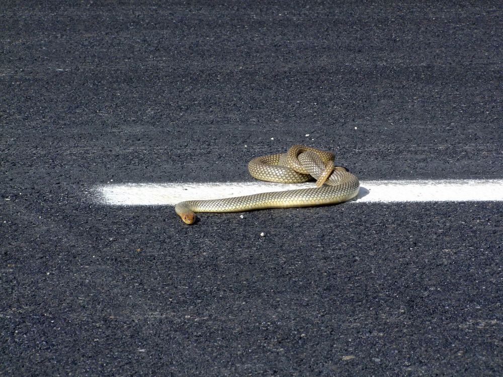 Photograph by Cengiz Yalcin