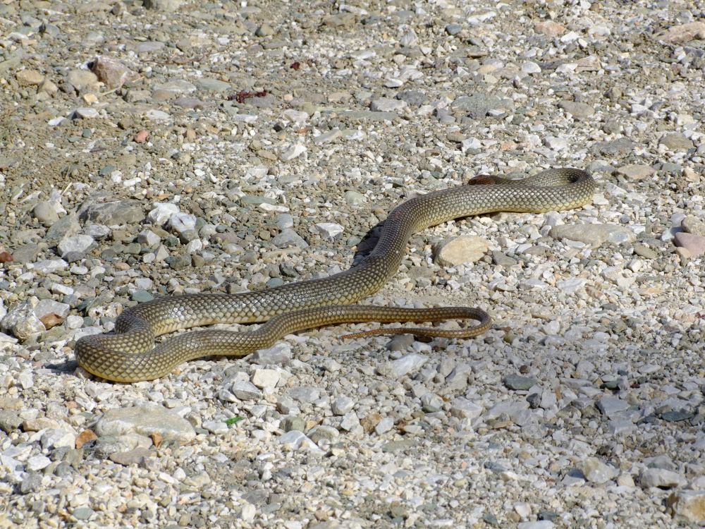 Photograph by Cengiz Yalcin