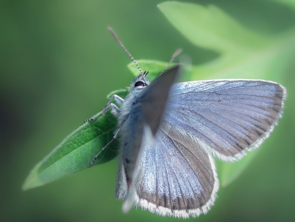 Фотография автора Константин Яковлев