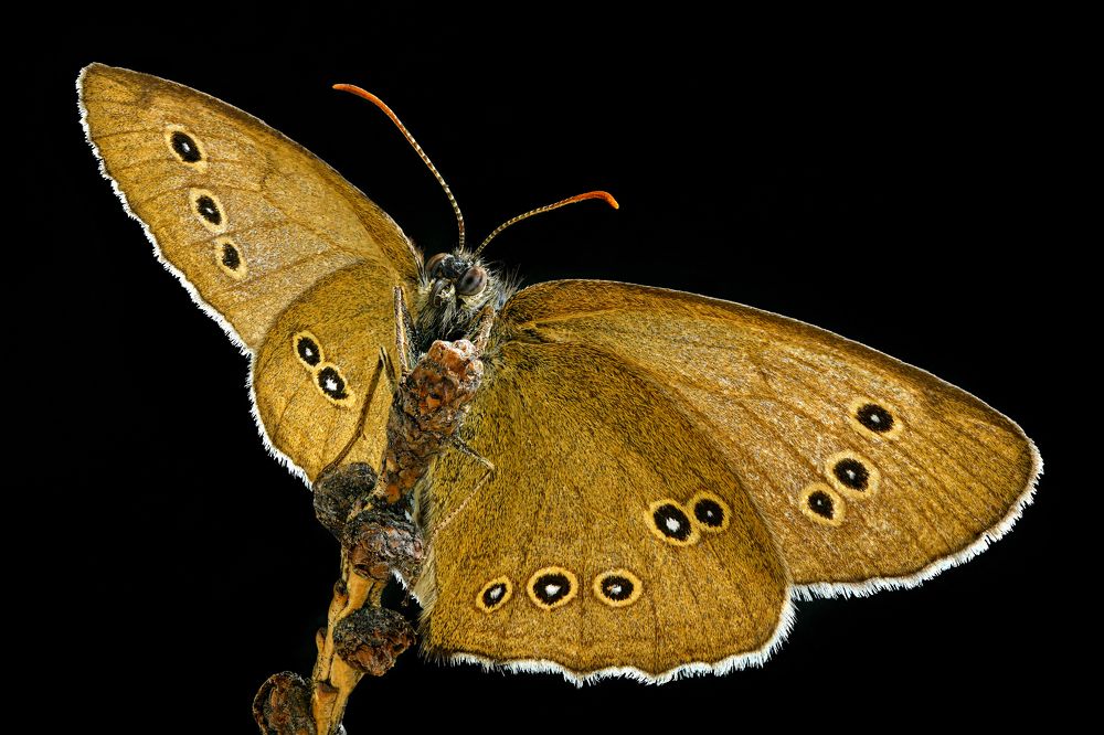 Photograph by Антон Финевич