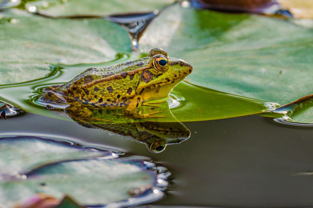 Photograph by Francisco José López Fernández