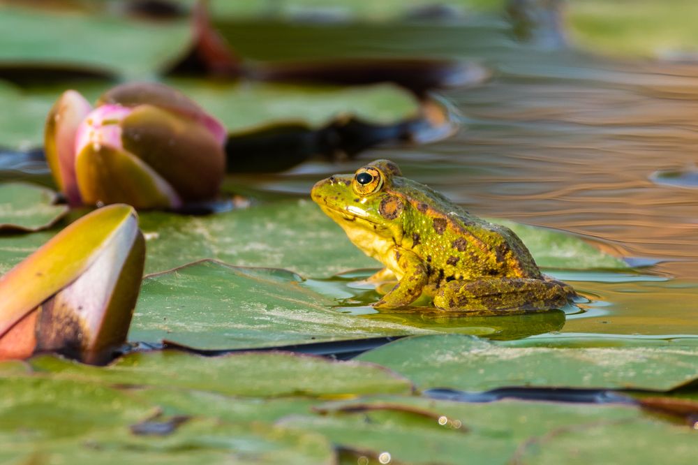 Photograph by Francisco José López Fernández