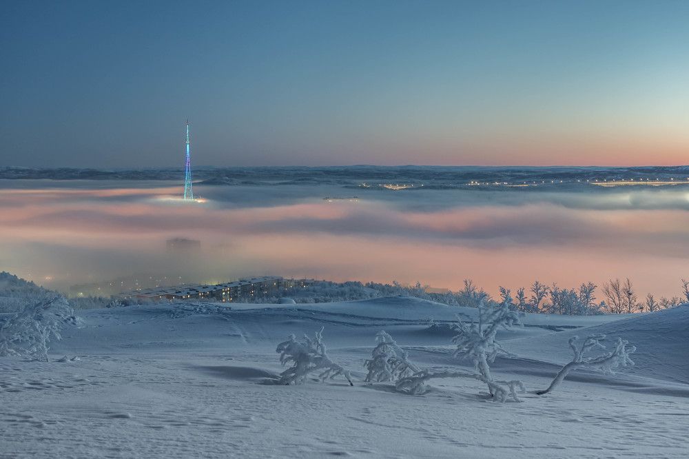 Утро Арктики