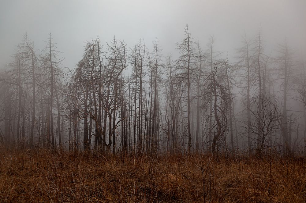 Photograph by Artur Akopyan