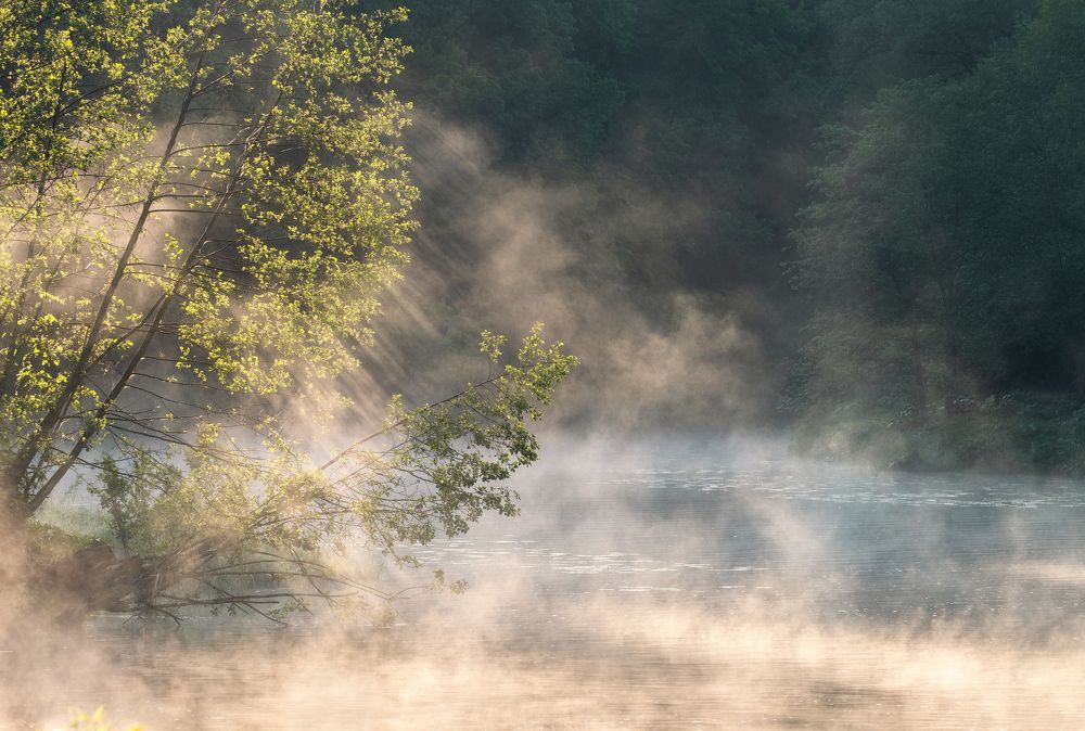 Photograph by Мозжухин Максим