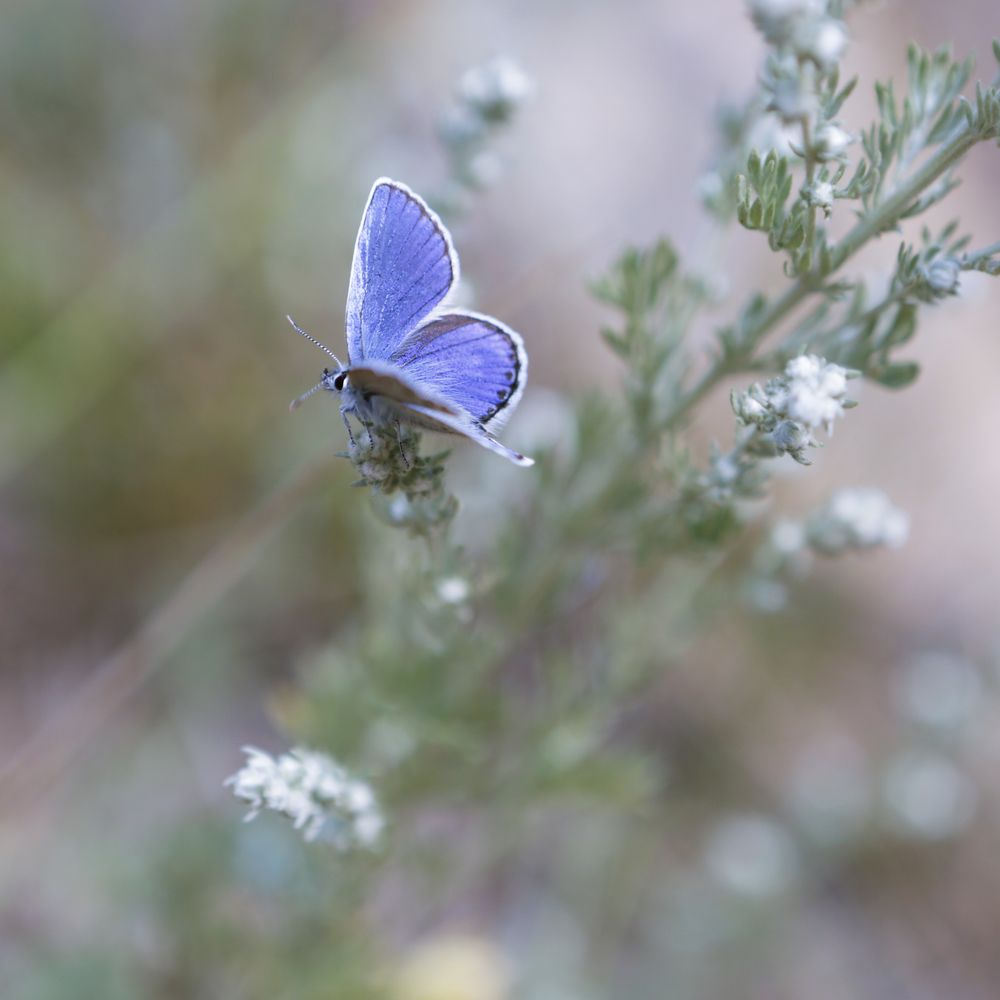 Фотография автора Наталья Дороднова