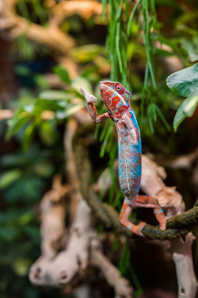 Photograph by Иван Грачев