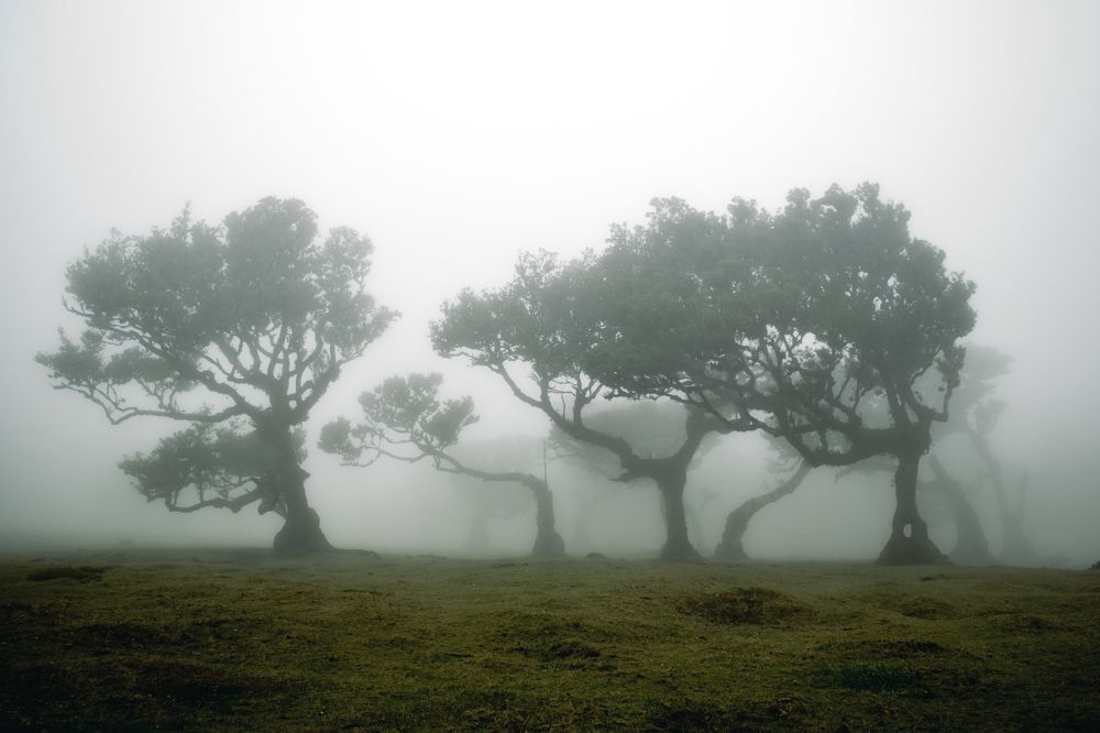 Photograph by Noelia