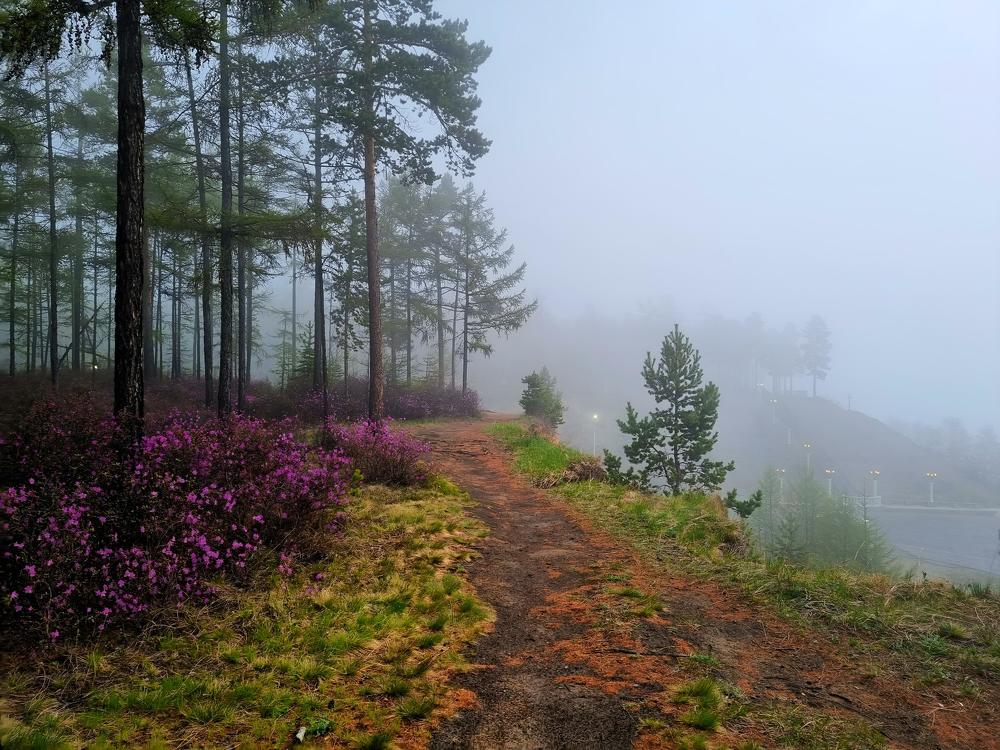 Photograph by Виктория Лобанова