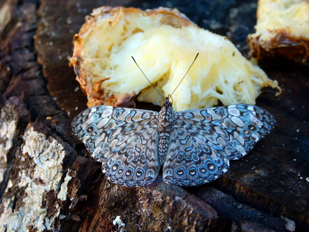 Photograph by Silvia Ferrante