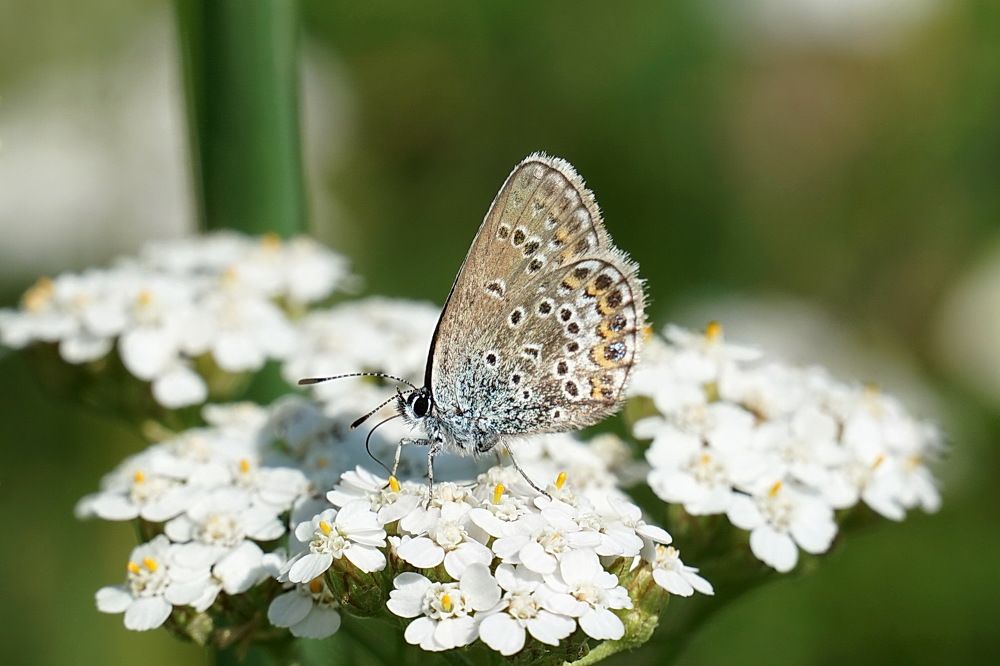 Photograph by Галина Кан