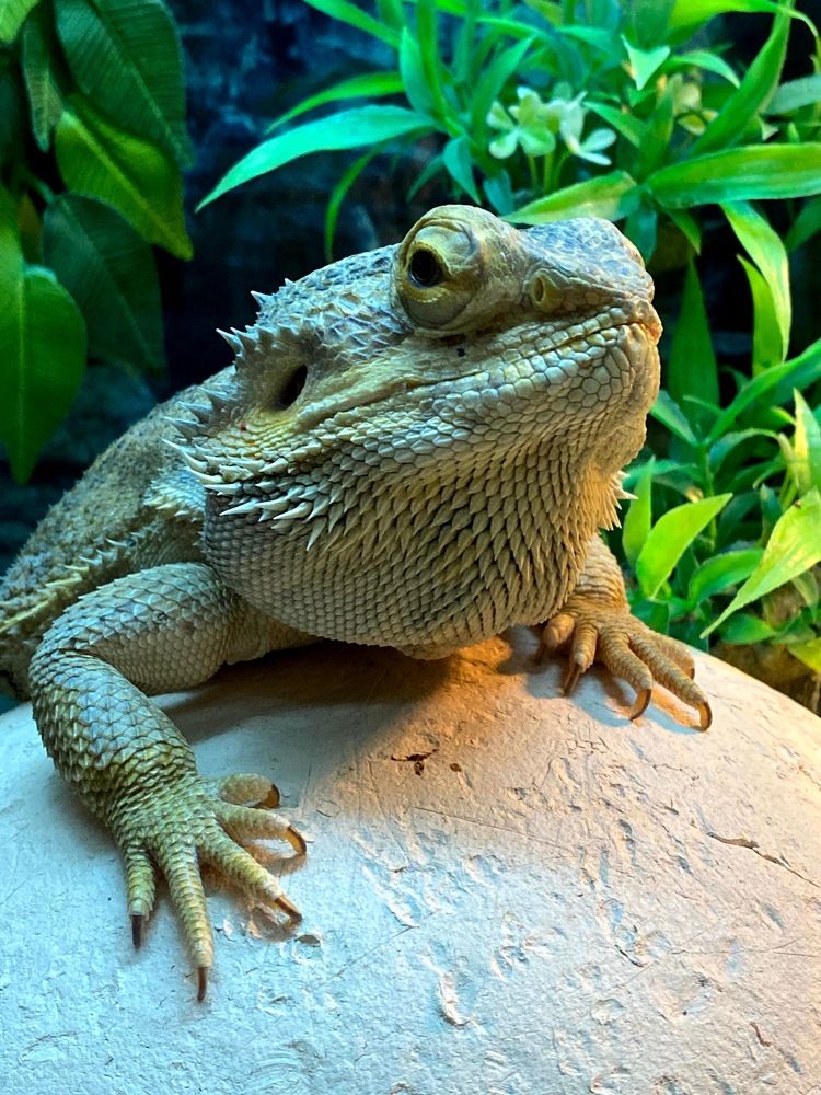 Фотография автора Александр Заикин