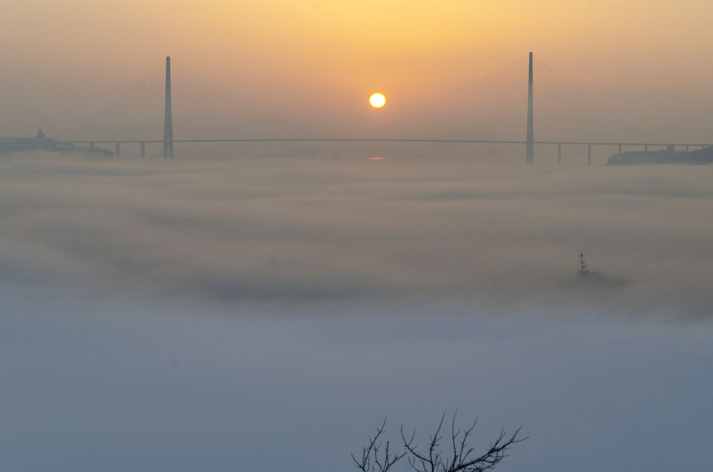 Photograph by Alex Mikh