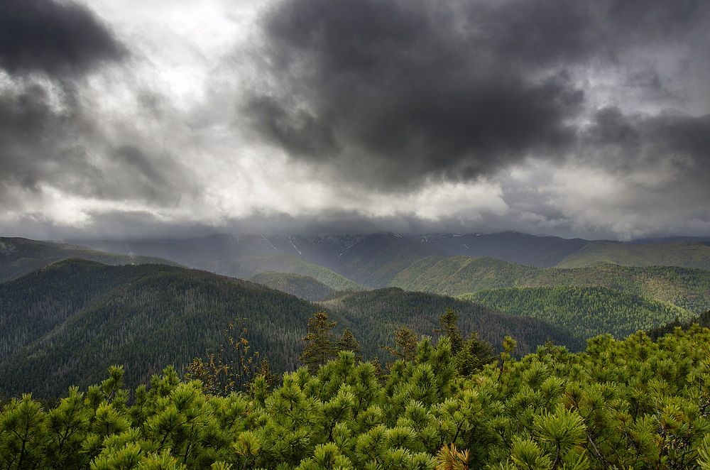 Photograph by Даниил Марков
