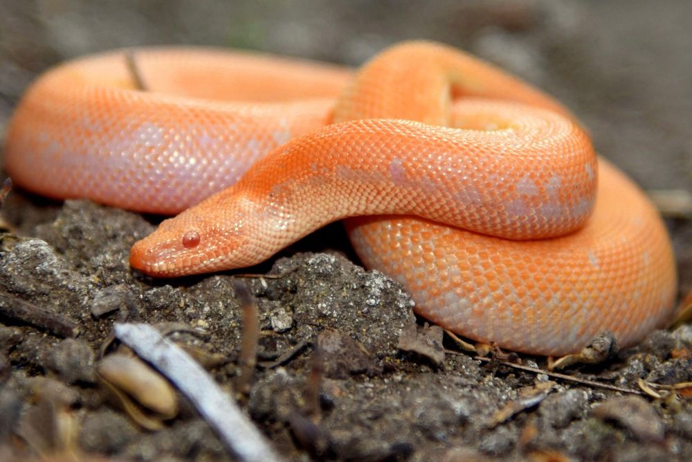 Photograph by Bhavesh Babre