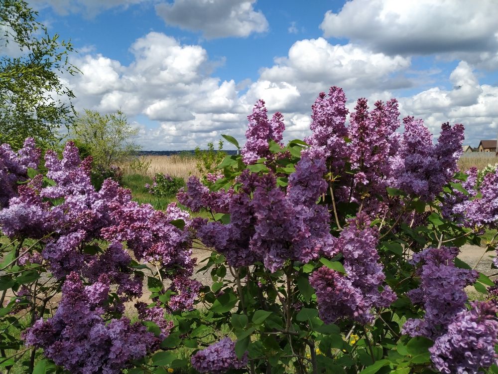 Photograph by Владимир Спиридонов
