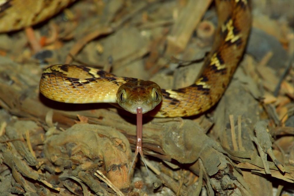 Photograph by Bhavesh Babre